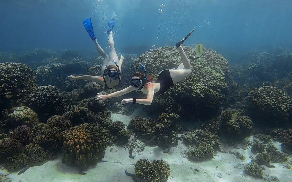 Două persoane fac snorkeling deasupra unui recif de corali