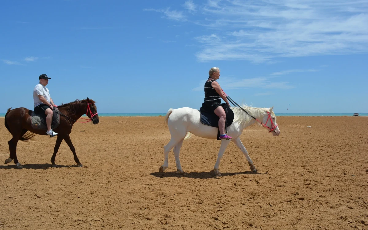 Due cavalieri a cavallo lungo una costa sabbiosa