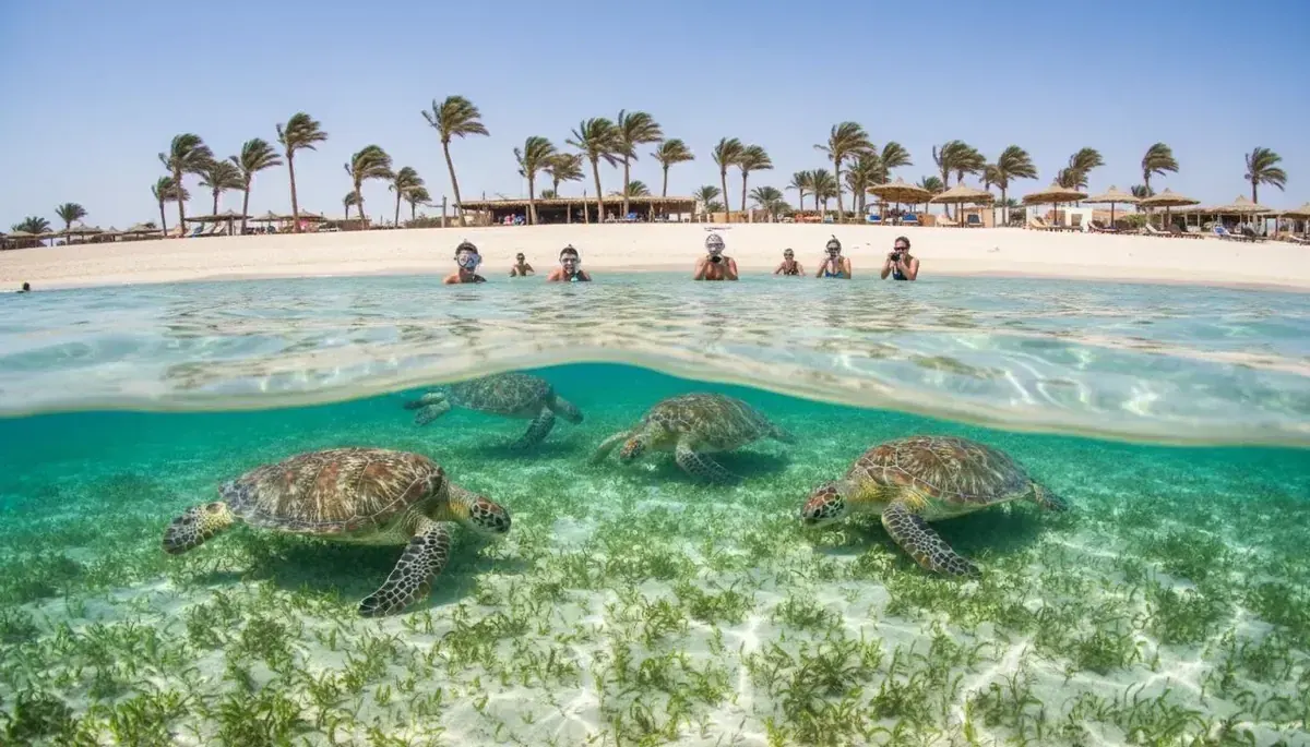 Escursione di snorkeling con le tartarughe marine di Baia di Baia di Abu Dabbab (Tartarughe e Dugongo) (Tartarughe e Dugongo) Marsa Alam da Hurghada