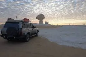 Siwa Oasis and White Desert