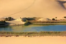 Siwa Oasis and White Desert