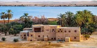 Siwa Oasis and White Desert