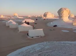 Siwa Oasis and White Desert
