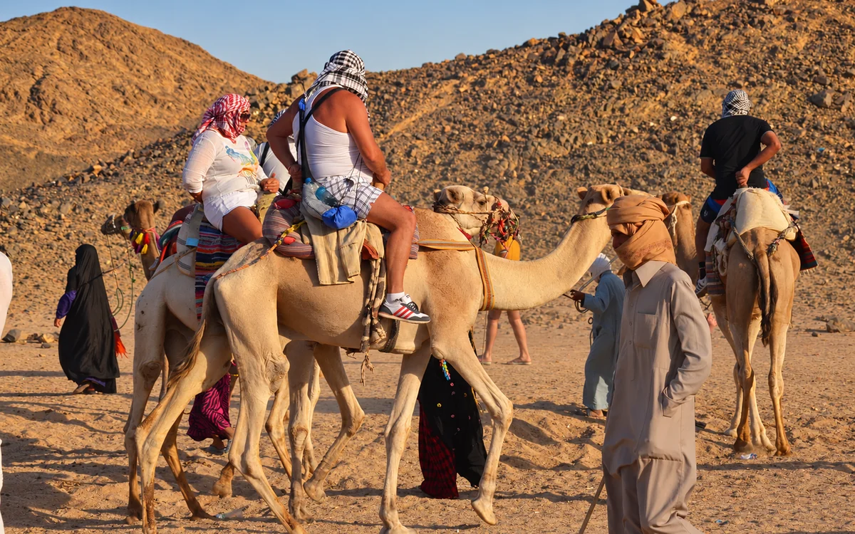 Travelers on camels led by a Bedouin guide through the rocky desert